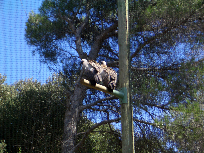 2005-08 La BArben 039.JPG